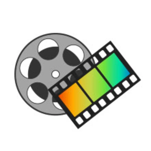 Los Angeles Video Transfer Service logo